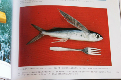 20110505_2210074-thumbnail2.jpg