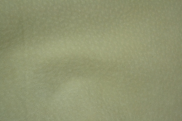 2015-0925-121.jpg