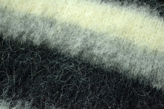 2015-1029-052.jpg