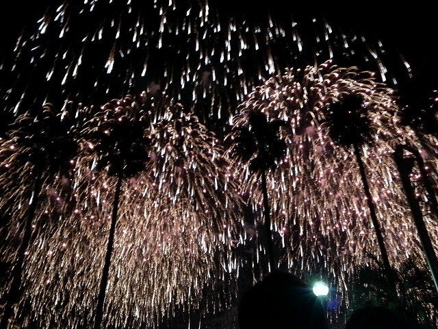 20151031_194824.jpg