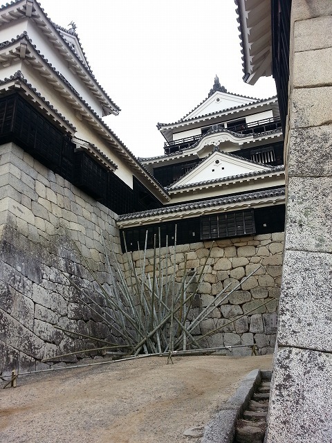 20151212_104344.jpg