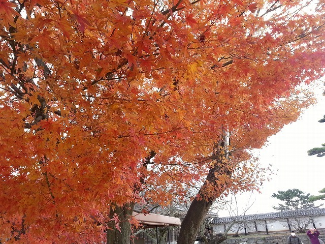 20151212_111117.jpg