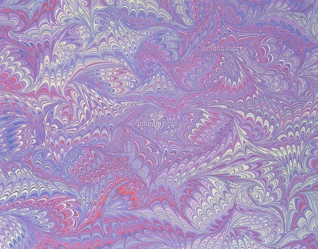 25502003755.jpg