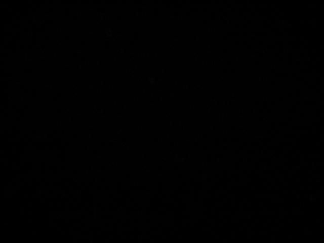 IMG_0289.jpg
