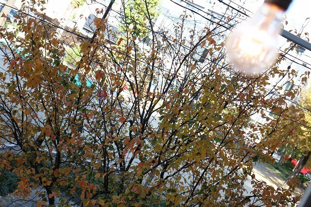 IMG_8402.jpg