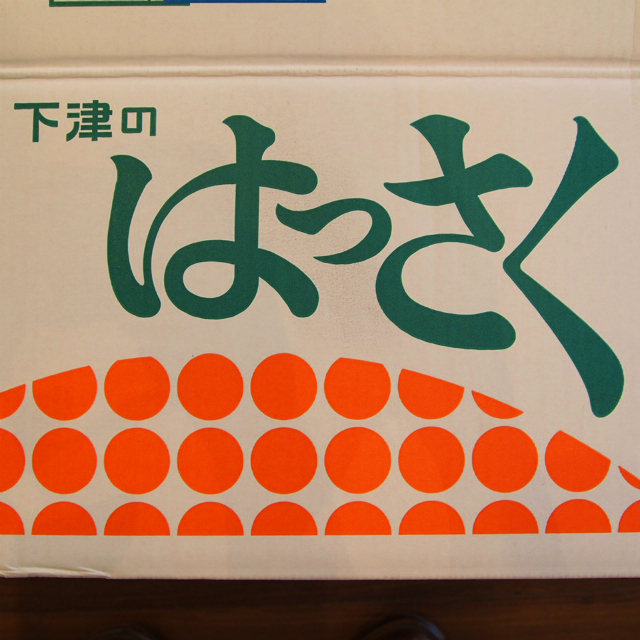 P1010029.jpg