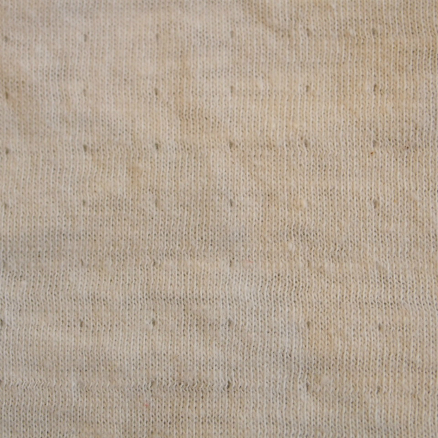 P3190646.jpg
