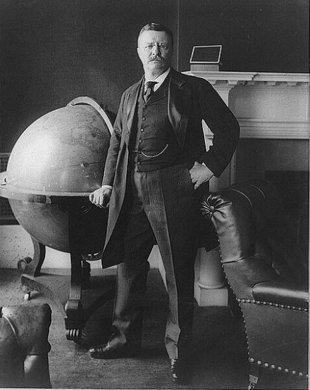 Teddy_Roosevelt_portrait.jpg