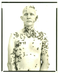 avedon_portraits1406.jpg