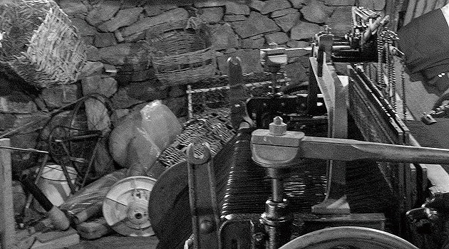 img61476560.jpg