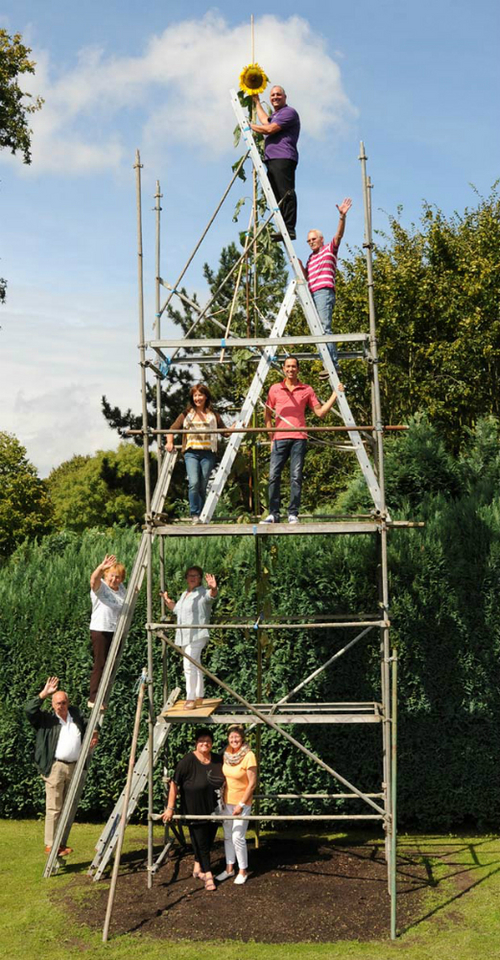 tallest-sunflower-full-view-guinness-world-records_tcm30-380393.jpg