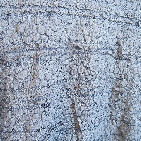 P5020984.jpg