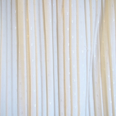 P6192661.jpg