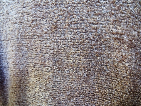 PC031995.jpg