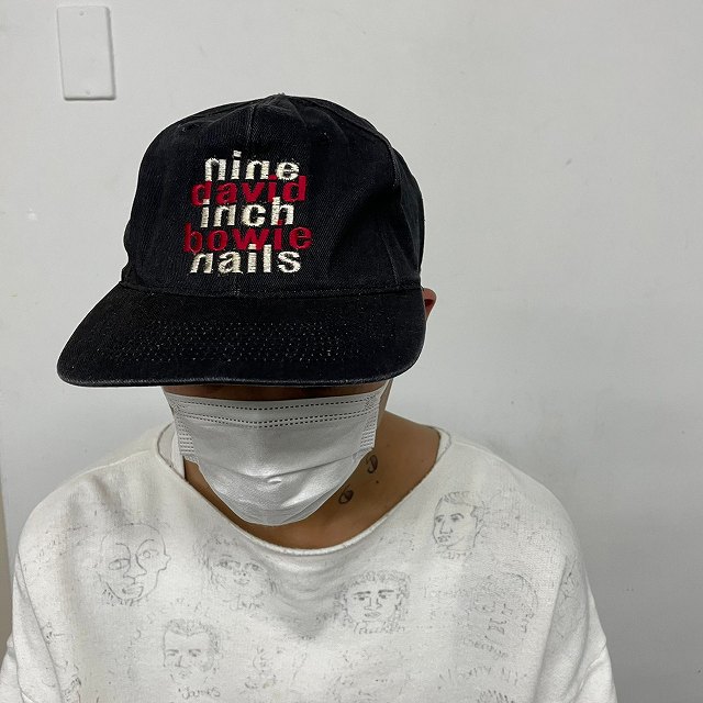 ナインインチネイルズ 音楽 ミュージック ロック デイビッド