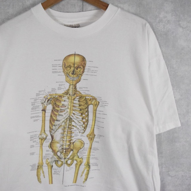 90sヴィンテージ｜Anatomical Chart co／解剖図 Tシャツ | www.jarussi