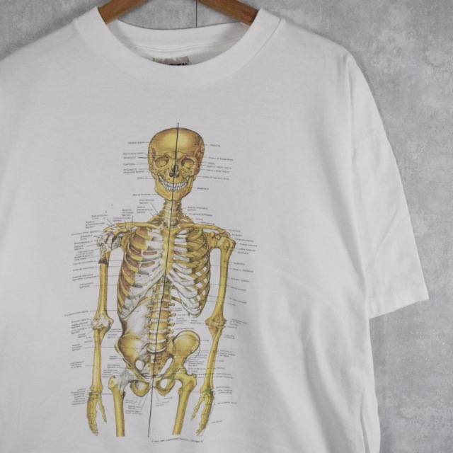 anatomical chart 人体模型 Tシャツ カートコバーン着用 XL