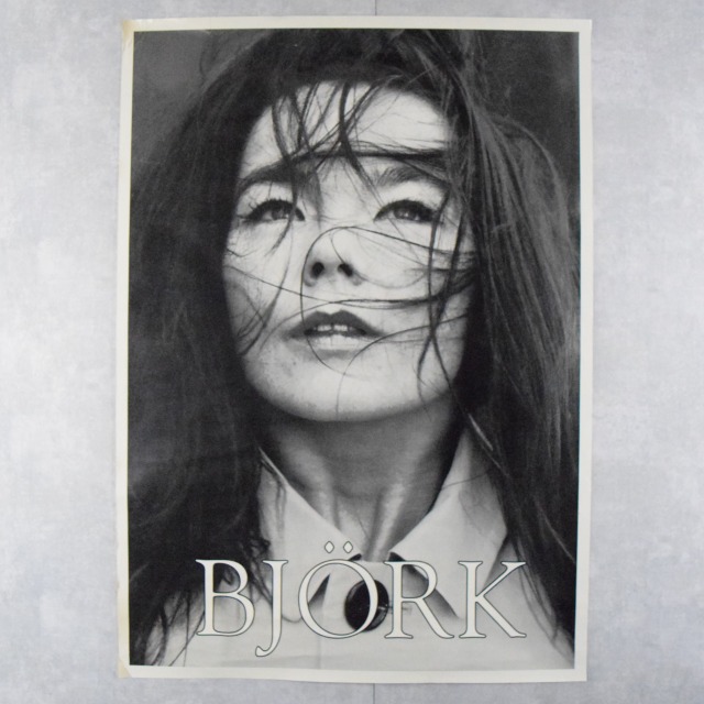 Bjork Portrait Poster