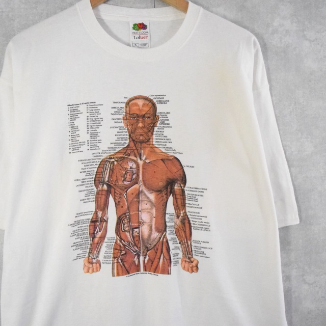 【希少】人体模型　tシャツ　カートコバーン